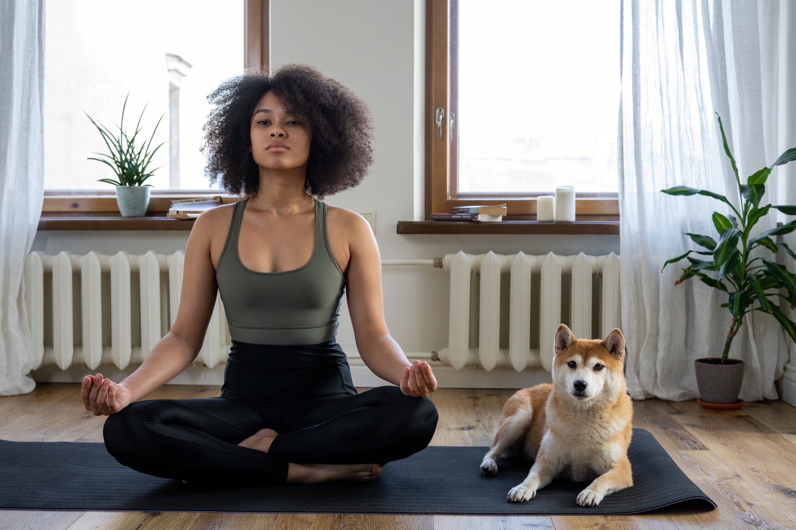 Personne méditant avec son chien dans un intérieur sain